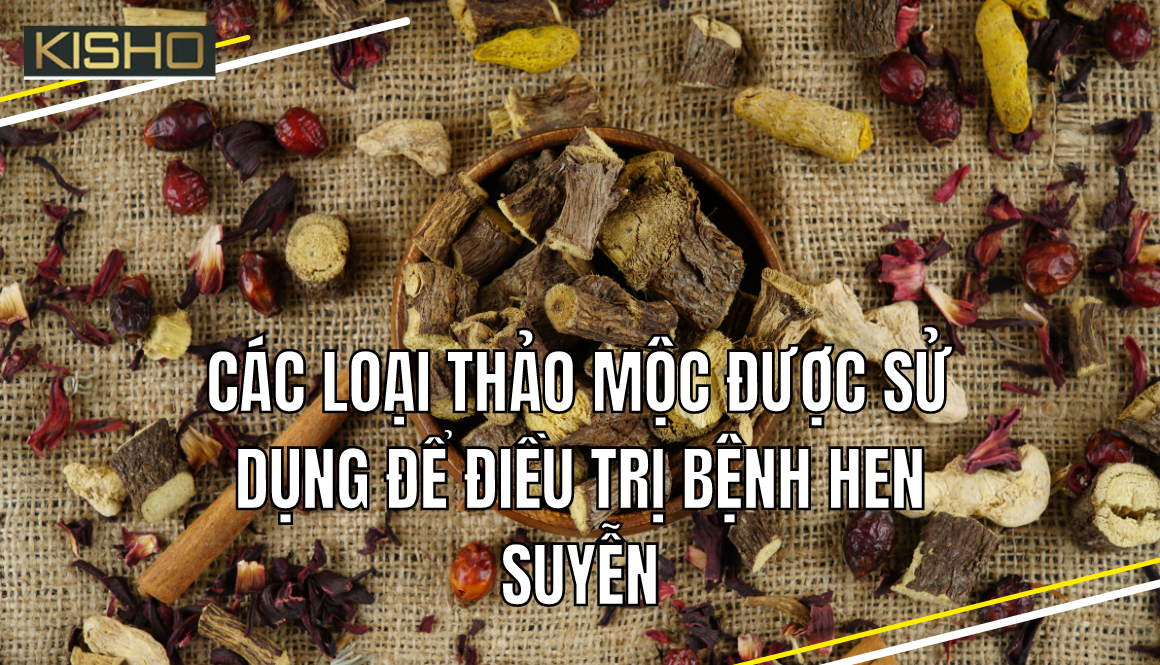 cay-thuoc-chua-hen-phe-quan (1)